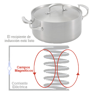 TecnologÃ­a de inducciÃ³n Vollrath